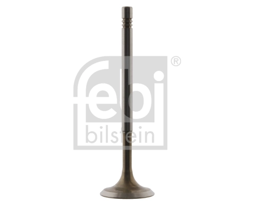 Intake Valve